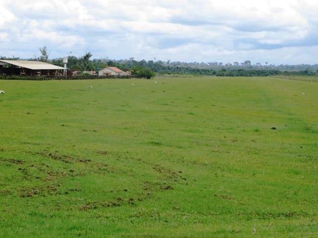 Venda Fazenda Nova Bandeirantes Mato Grosso