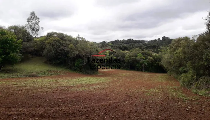 Area a venda para chacara em Campo Largo 80.000 m2 16 Km de Curitiba