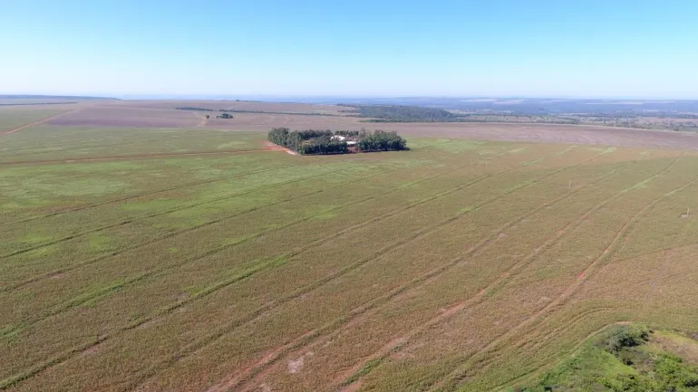 Venda fazenda Juscimeira Mato Grosso