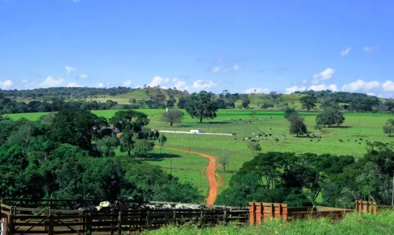 Venda fazenda leite Goiás