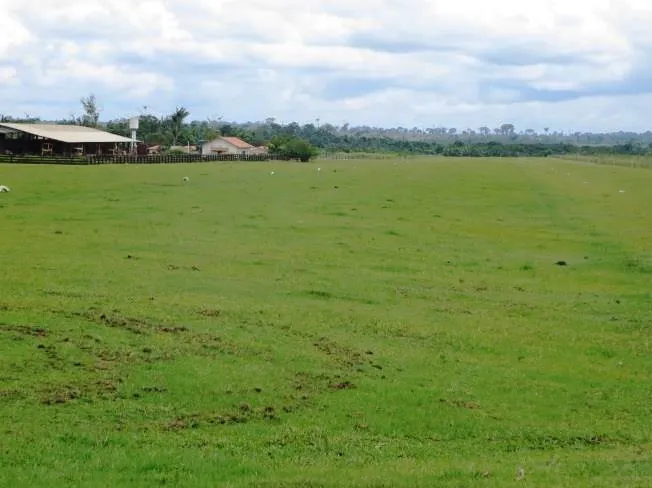 Venda fazenda Nova Bandeirantes Mato Grosso