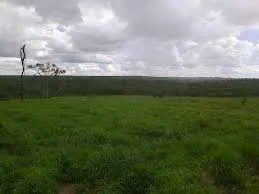 Venda fazenda Pará