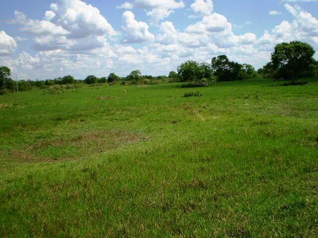 Venda fazenda Sto Antonio Leverger MT