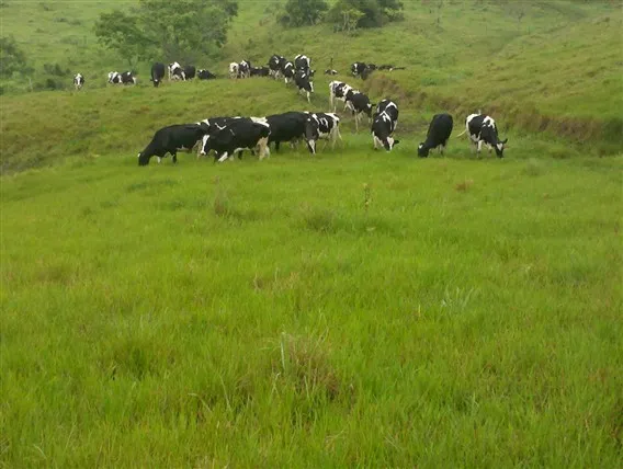 Venda fazenda Redenção Pará