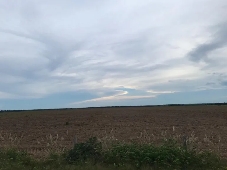 Venda fazenda Santa Terezinha Mato Grosso