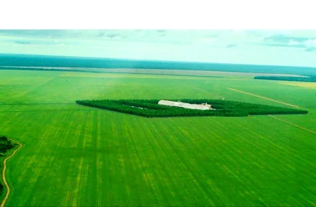 Venda fazenda Querencia Mato Grosso