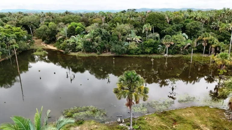 Venda fazenda em Santo Antonio do Leverger Mato Grosso 550 ha