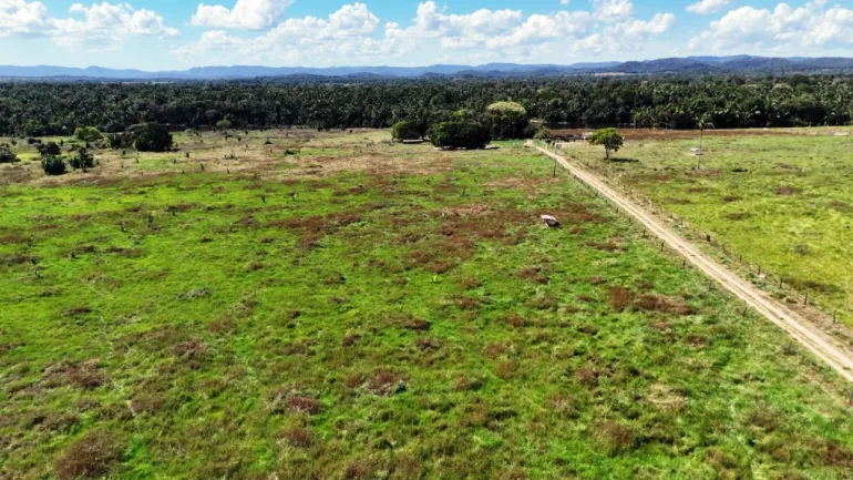Venda fazenda em Santo Antonio do Leverger Mato Grosso 550 ha