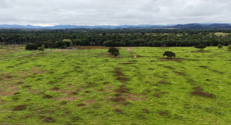 Venda fazenda em Santo Antonio do Leverger Mato Grosso 550 ha