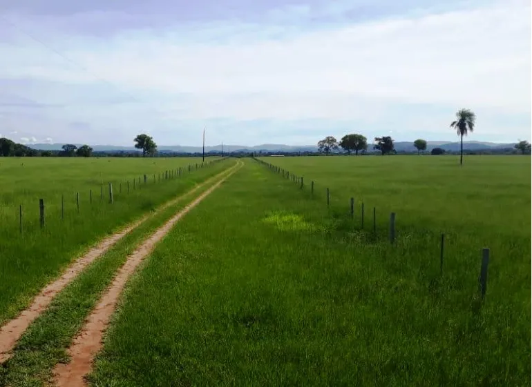 Venda fazenda em Santo Antonio do Leverger Mato Grosso 550 ha