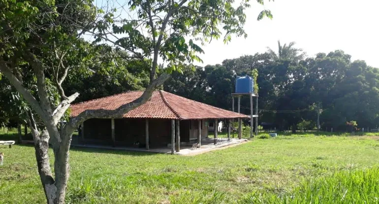 Venda fazenda em Santo Antonio do Leverger Mato Grosso 550 ha