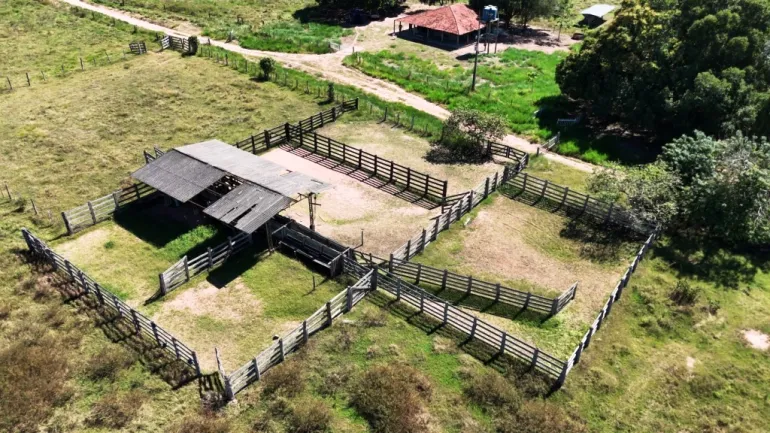Venda fazenda em Santo Antonio do Leverger Mato Grosso 550 ha
