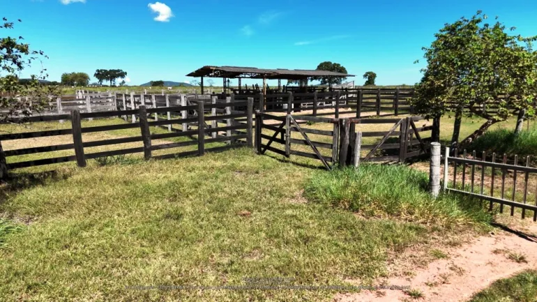 Venda fazenda em Santo Antonio do Leverger Mato Grosso 550 ha