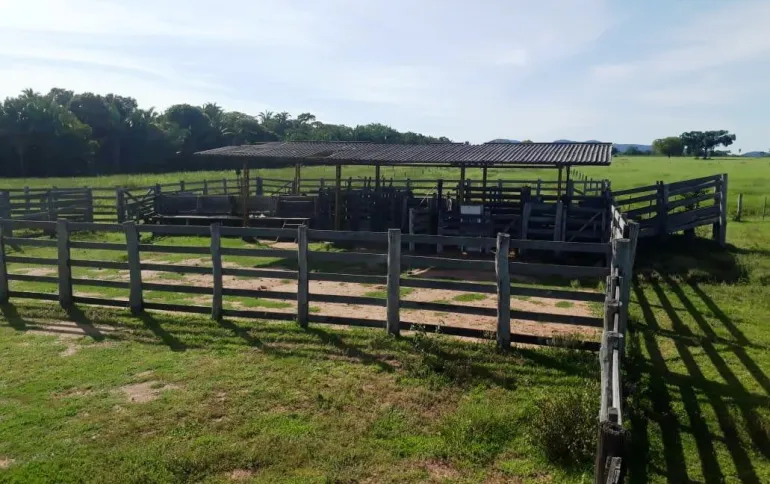 Venda fazenda em Santo Antonio do Leverger Mato Grosso 550 ha