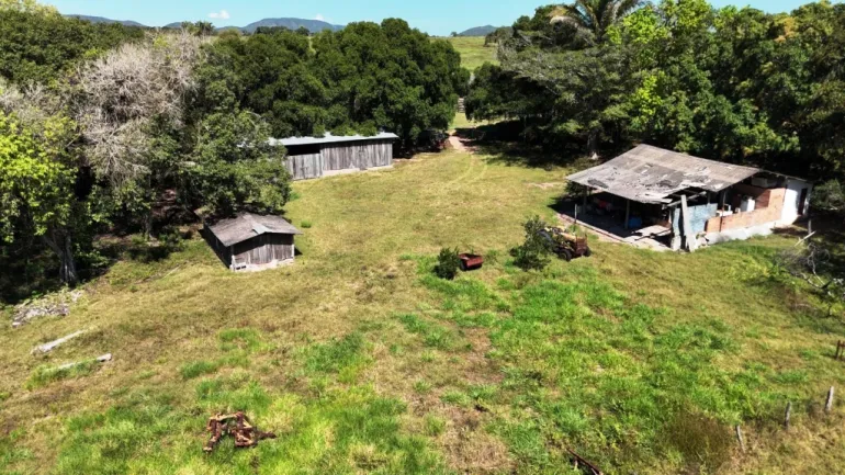 Venda fazenda em Santo Antonio do Leverger Mato Grosso 550 ha