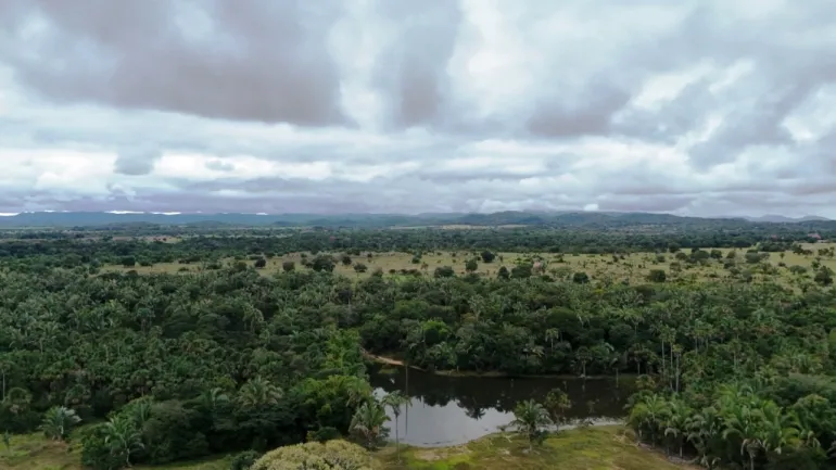 Venda fazenda em Santo Antonio do Leverger Mato Grosso 550 ha