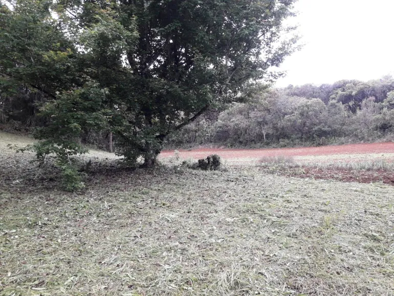 Area a venda para chacara em Campo Largo