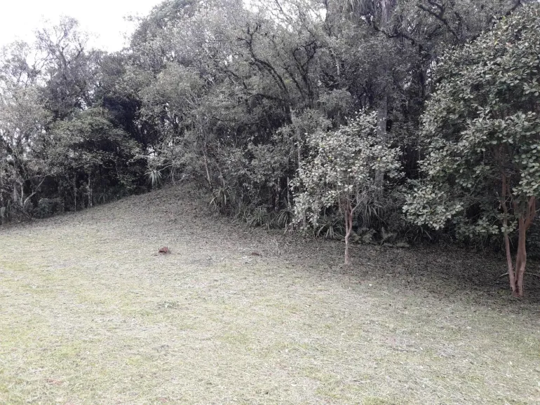 Area a venda para chacara em Campo Largo