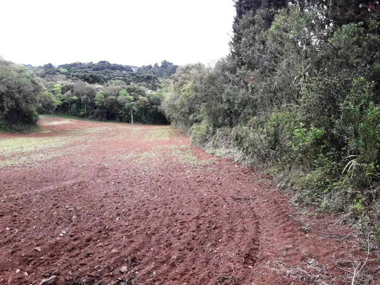 Area a venda para chacara em Campo Largo