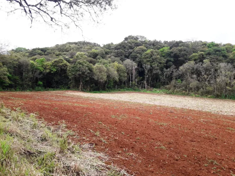 Area a venda para chacara em Campo Largo