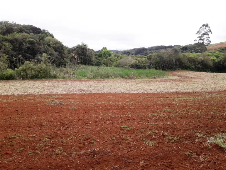 Area a venda para chacara em Campo Largo