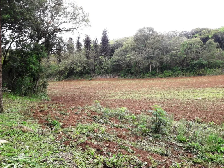 Area a venda para chacara em Campo Largo