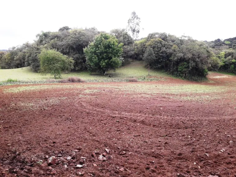 Area a venda para chacara em Campo Largo