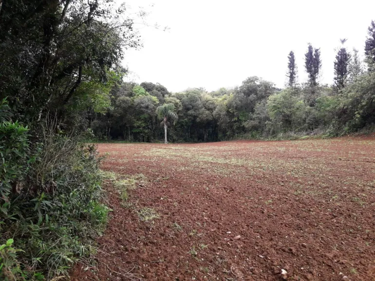Area a venda para chacara em Campo Largo