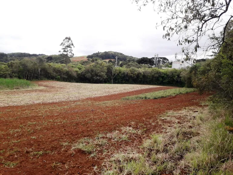 Area a venda para chacara em Campo Largo