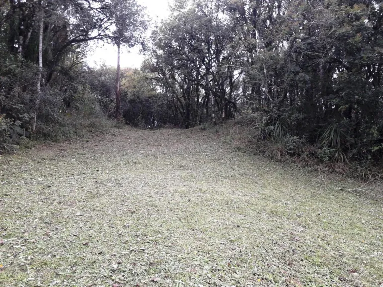 Area a venda para chacara em Campo Largo