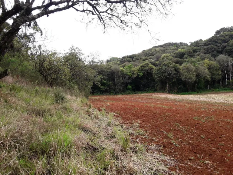 Area a venda para chacara em Campo Largo
