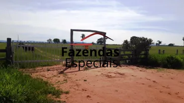 Venda fazenda em Santo Antonio do Leverger Mato Grosso 550 ha