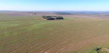 Venda fazenda Juscimeira Mato Grosso
