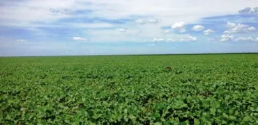 Venda fazenda São Desidério Bahia
