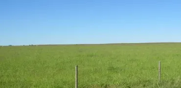 Fazenda para venda em Barra do Garças MT