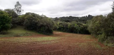 Area a venda para chacara em Campo Largo 80.000 m2 16 Km de Curitiba